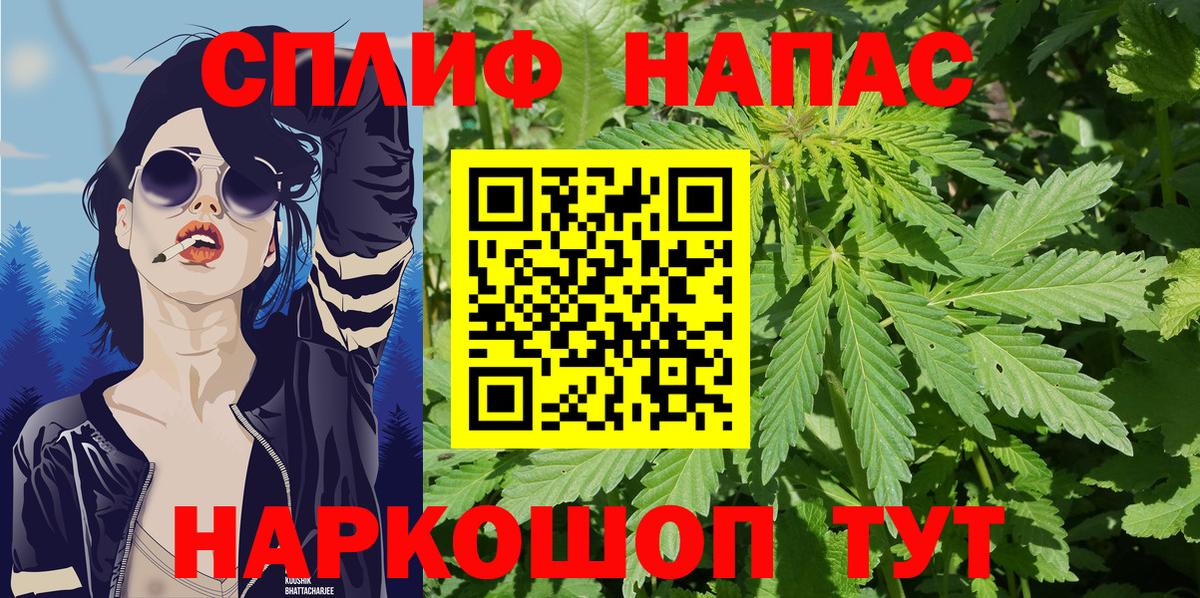 Димитровград  Конопля THC 21%  Вход с VPN  Конопля конопля 