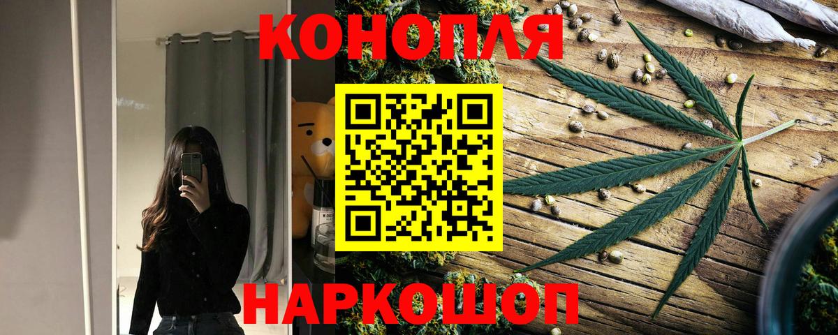 Канабис OG Kush Димитровград